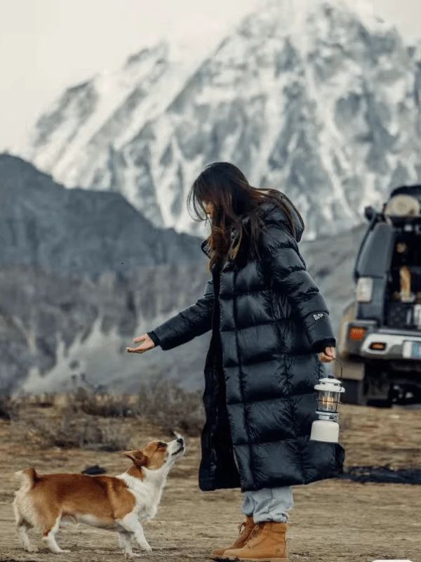 Elegantly Designed Coat