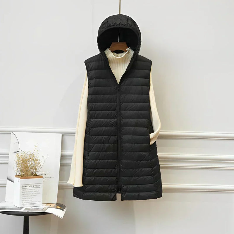 Elegantly Designed Coat