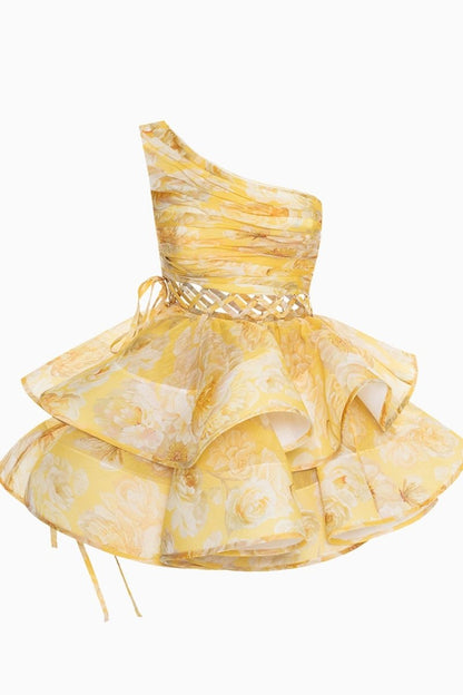 Elegantly Designed Dress