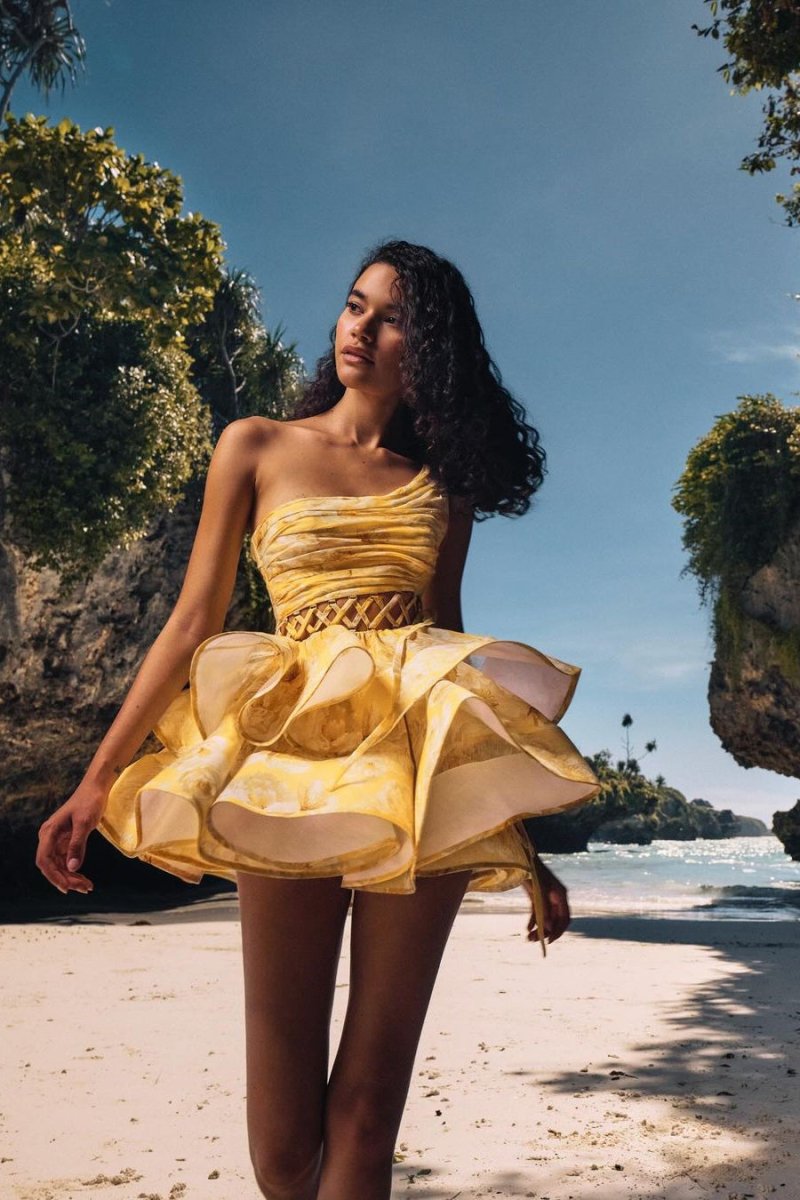 Elegantly Designed Dress