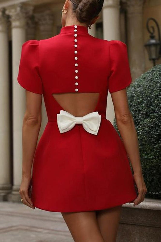 Elegantly Designed Dress