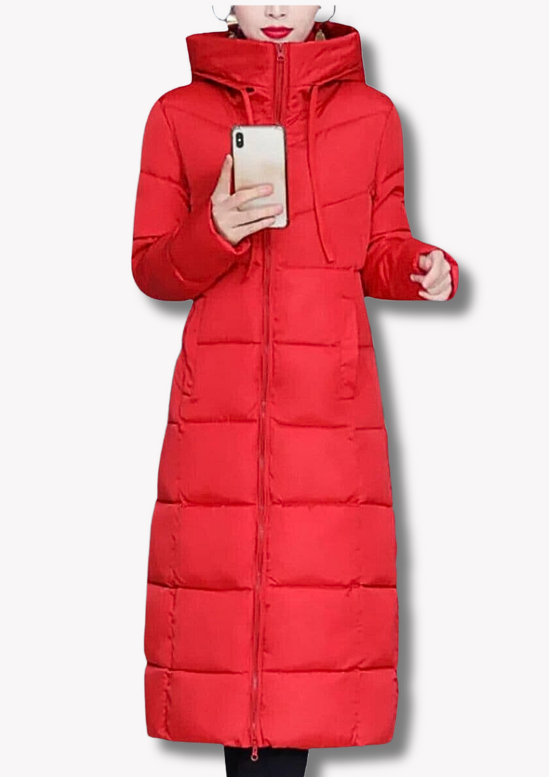 Elegantly Designed Garment