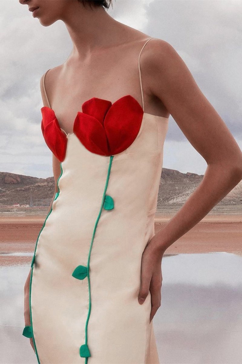 Elegantly Designed Dress