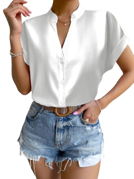 Elegantly Designed Blouse