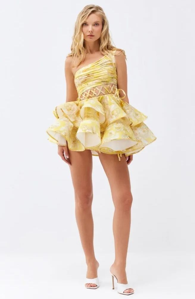 Elegantly Designed Dress