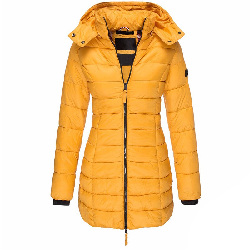 Elegantly Designed Jacket