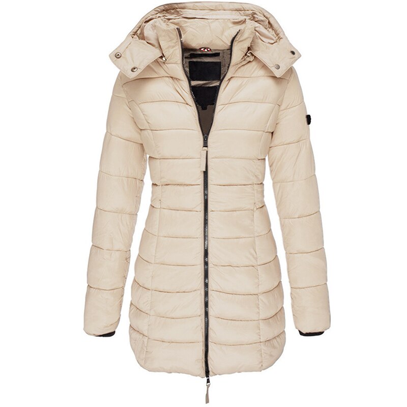 Elegantly Designed Jacket