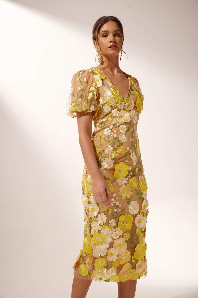 Classic Designed Dress