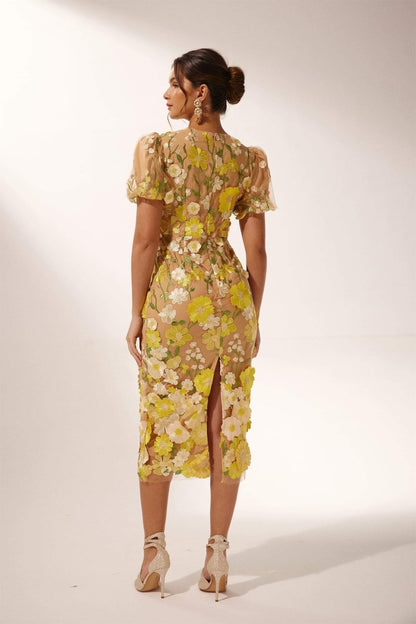 Classic Designed Dress
