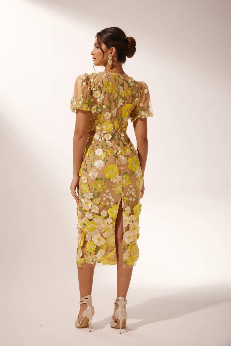 Classic Designed Dress
