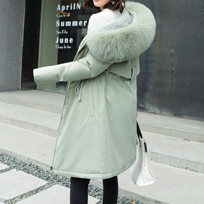 Beautifully Crafted Jacket